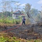 Lahan 1 Hektar di Perum Adi Karya Baamang Hulu Terbakar, Damkar Kotim Turun Tangan