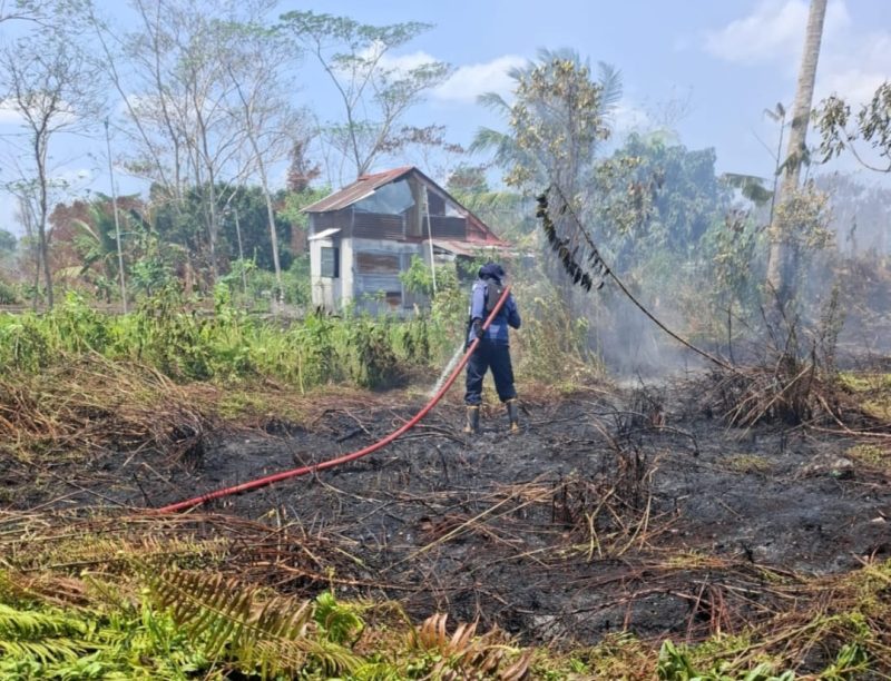 Damkar Kotim saat melakukan pemadaman dilokasi titik terjadinya kebakaran hutan dan lahan.