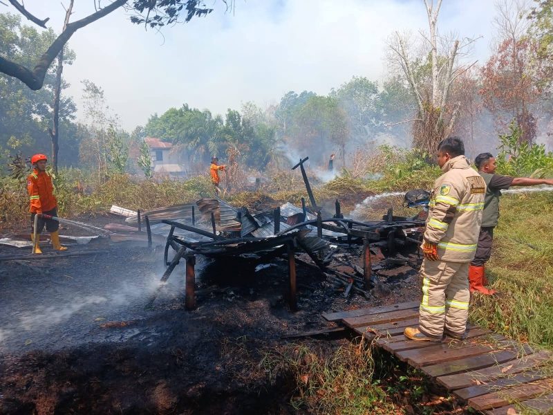 Petus Damkar saat melakukan pemadaman dilokasi yang mengakibatkan sebuah pondok milik warga hangus terbakar.