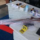 Gila!! Saksi Ditembak Pakai Senapan Angin oleh Dua Pelaku Pembakaran Lahan di Pulang Pisau