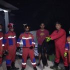 Trenggiling Ditemukan Lemah di Tengah Dampak Karhutla di Palangka Raya