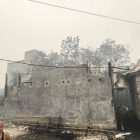 Api dari Kebakaran Lahan di Palangka Raya Menyambar Sarang Walet