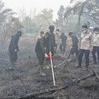Polda Kalteng Optimalkan dengan Serbuk Tepung Singkong untuk Padamkan Bara Lahan Gambut