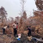 Sumur Bor Disiapkan di Lokasi Rawan Api, Strategi Pemadaman Karhutla di Palangka Raya