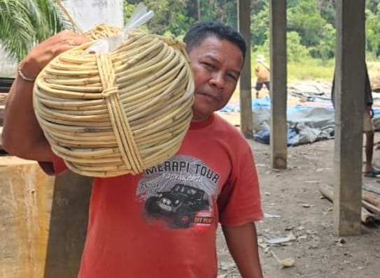 Foto: Frans Dudy yang masih berstatus Kepala Desa (Kades) Teluk Betung sedang memikul rotan, Minggu (13/9).